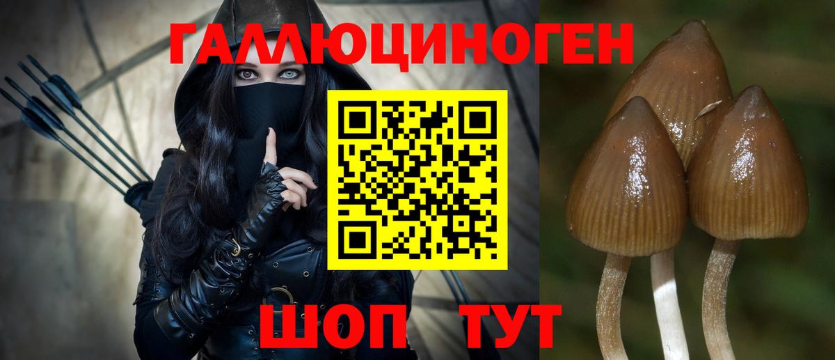 Галлюциногенные грибы Magic Shrooms  Вход с VPN  Волгоград 